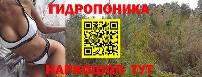 гашиш Апшеронск