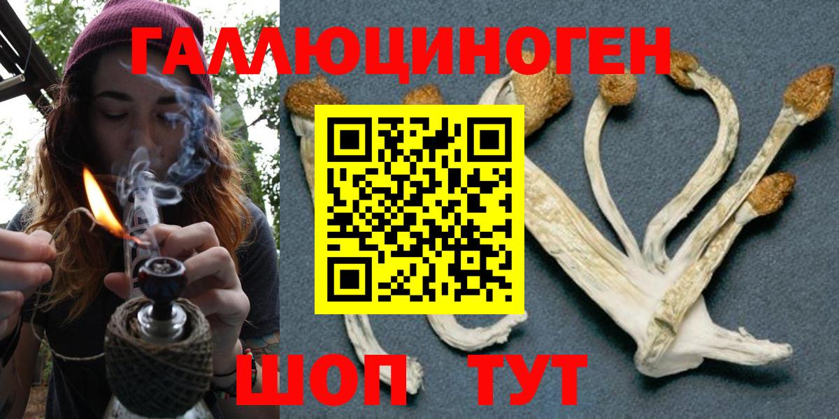Псилоцибиновые грибы прущие грибы  наркошоп  Галлюциногенные грибы MAGIC MUSHROOMS  Пугачёв  Вход с VPN 