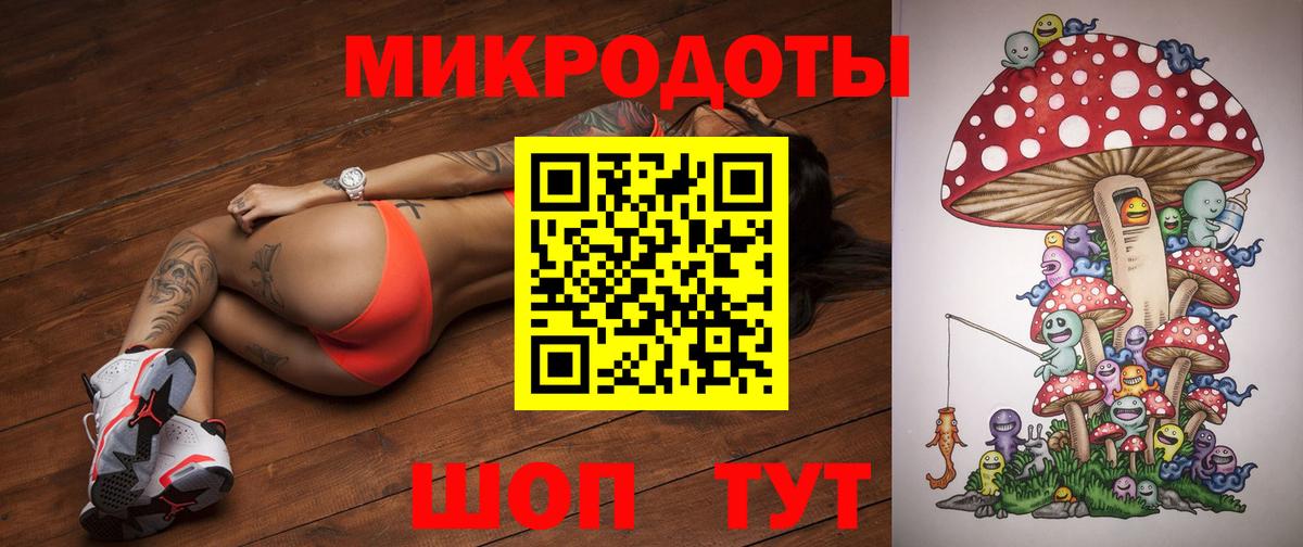 Псилоцибиновые грибы Cubensis Пугачёв