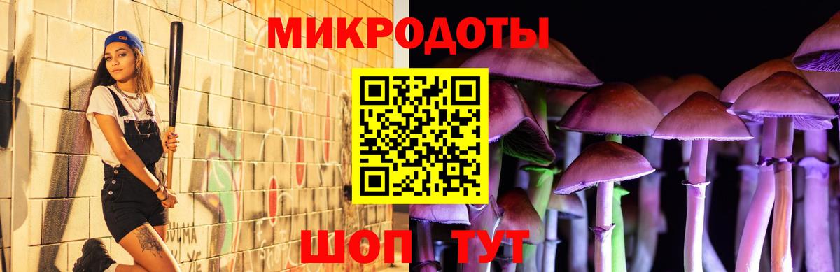 Галлюциногенные грибы прущие грибы  где продают наркотики  Галлюциногенные грибы прущие грибы  Пугачёв 